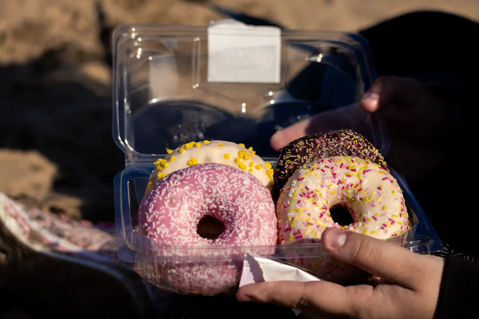 Donat Box Enam